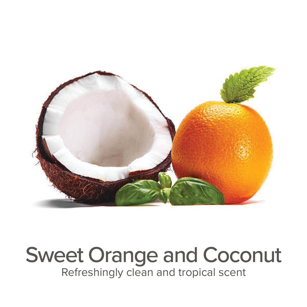 3 - in - 1 Shed Control Shampoo with Conditioner (Sweet Orange & Coconut) - Eva Pet - Pure and Natural Pet