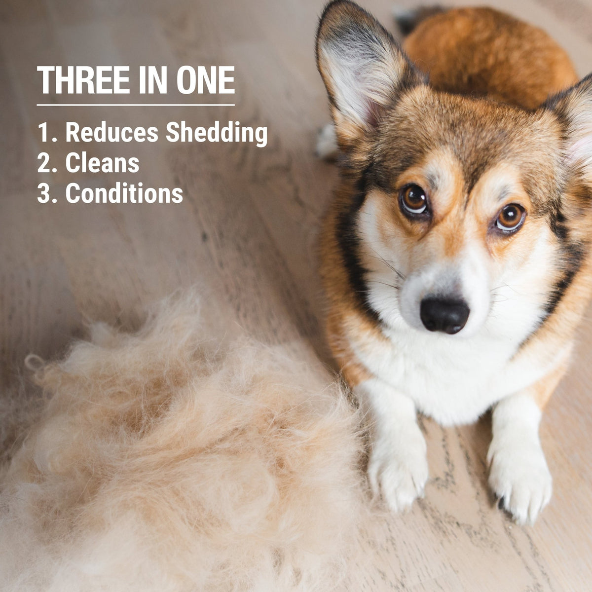 3 - in - 1 Shed Control Shampoo with Conditioner (Sweet Orange & Coconut) - Eva Pet - Pure and Natural Pet