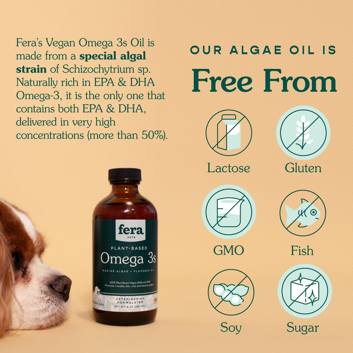 Algae Oil Omega - 3, 6, 9 - Eva Pet - Fera Pet Organics