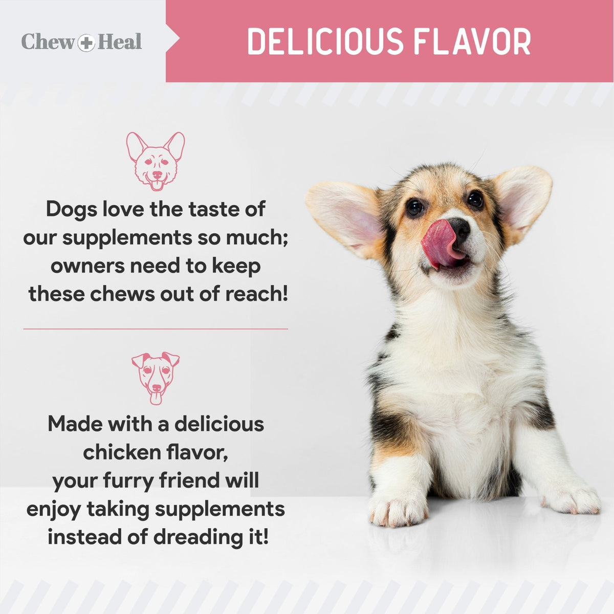 Allergy Aid Soft Chew Allergy Supplement for Dogs - Eva Pet - Chew + Heal