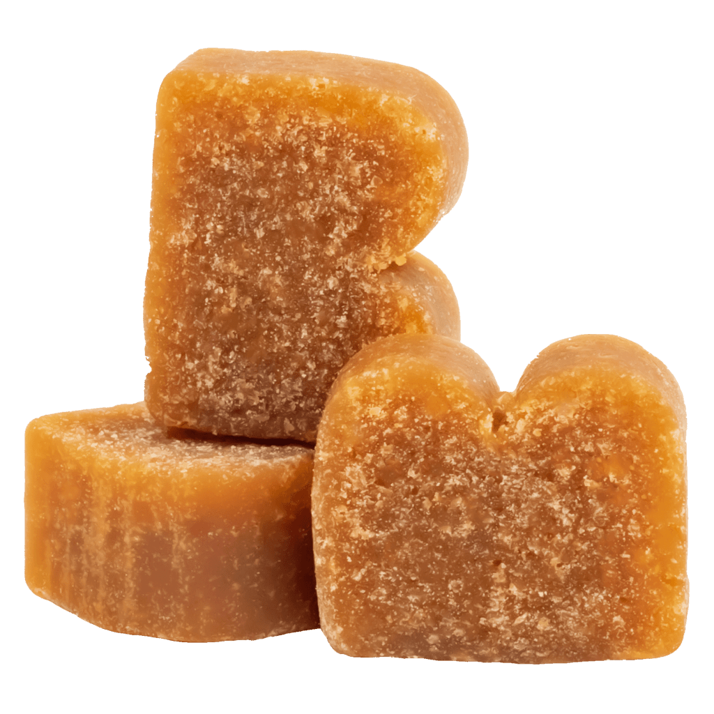 BIXBI® Pocket Trainers® for Dogs – Peanut Butter Recipe - Eva Pet - Bixbi