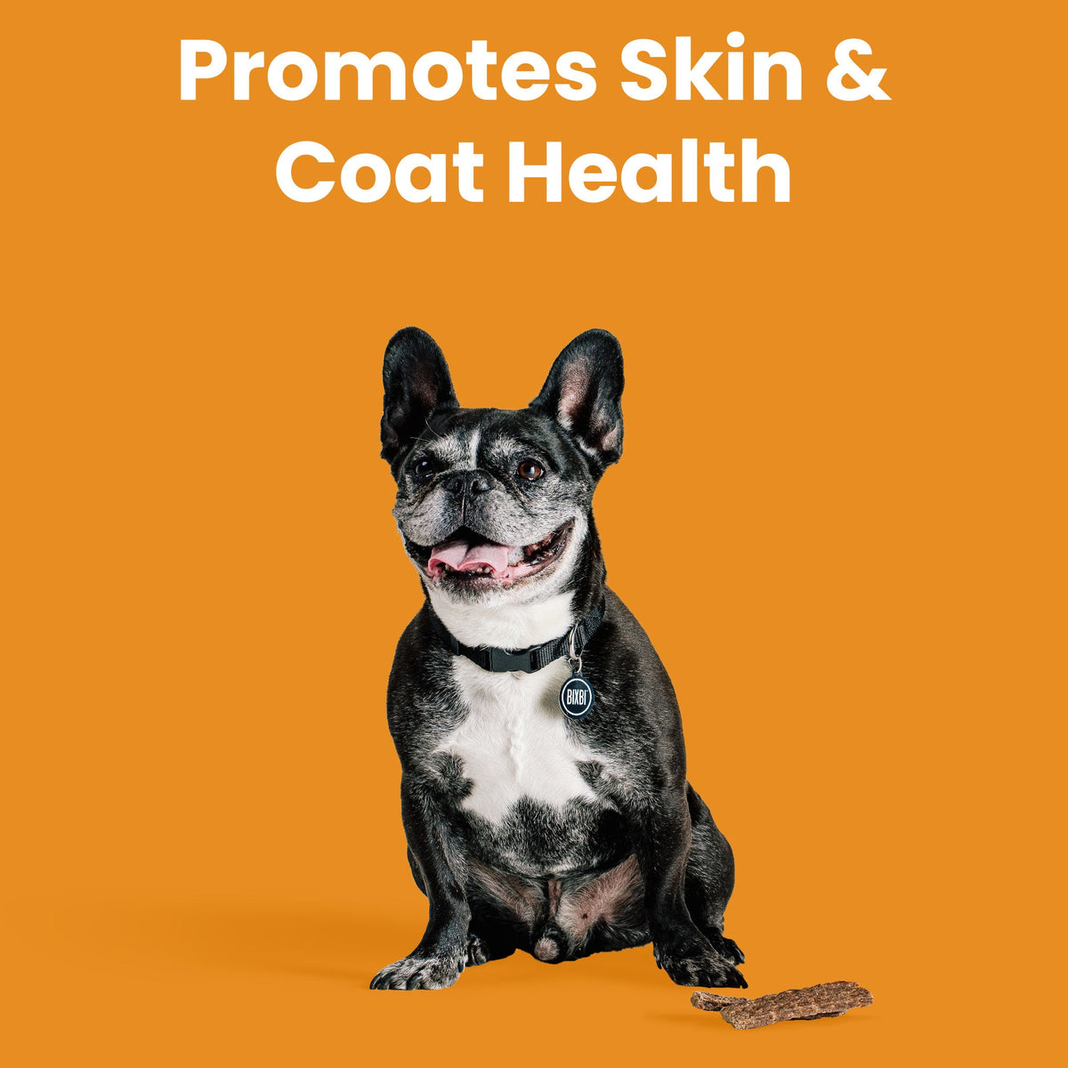 BIXBI® Skin & Coat Jerky Treats for Dogs – Salmon Recipe - Eva Pet - Bixbi