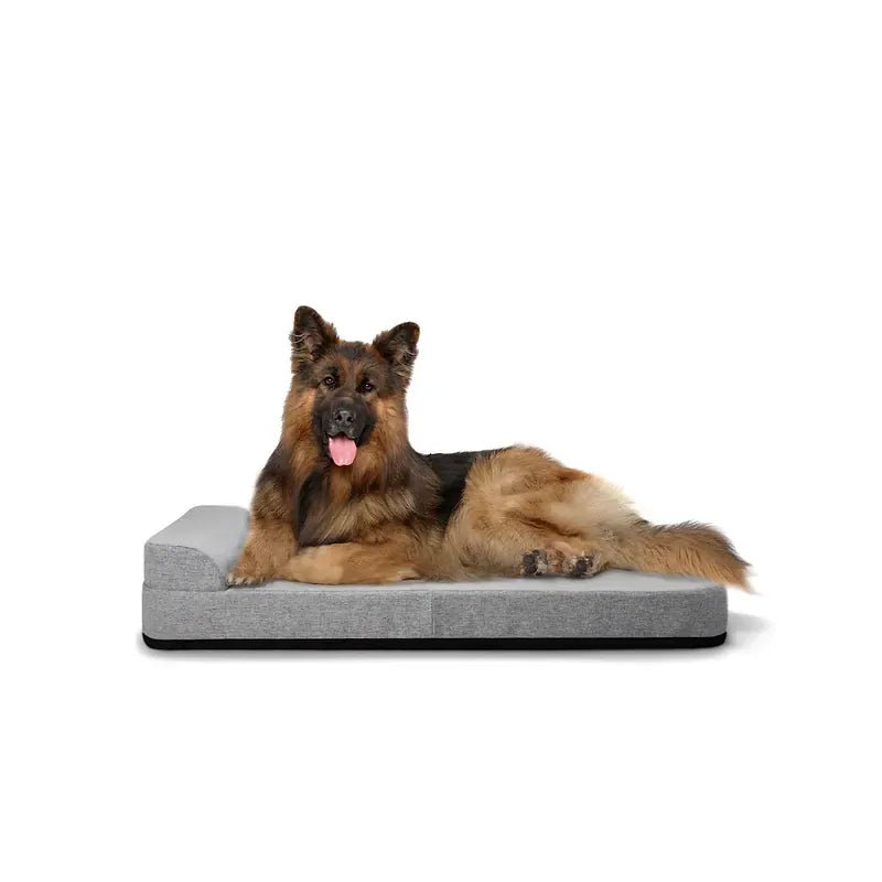 Bolstr Evolv Bed - Eva Pet - Diggs