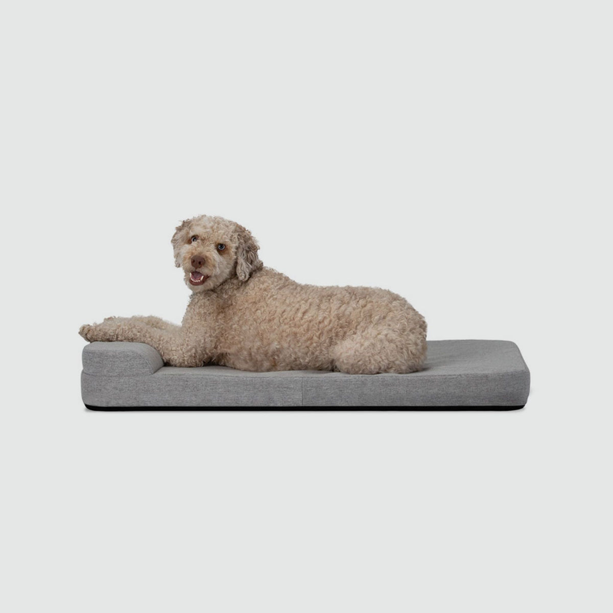 Bolstr Evolv Bed - Eva Pet - Diggs