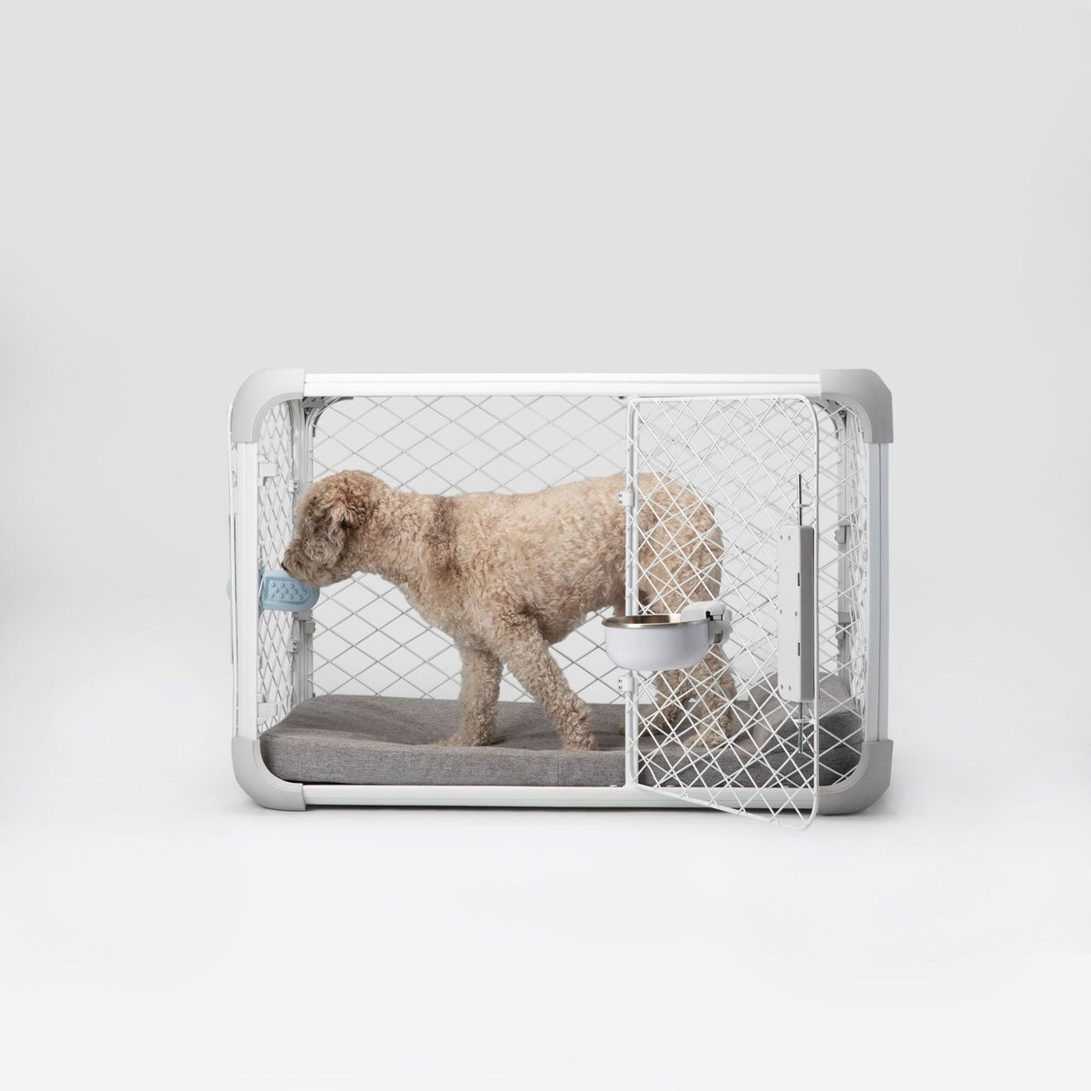 Bolstr Evolv Bed - Eva Pet - Diggs