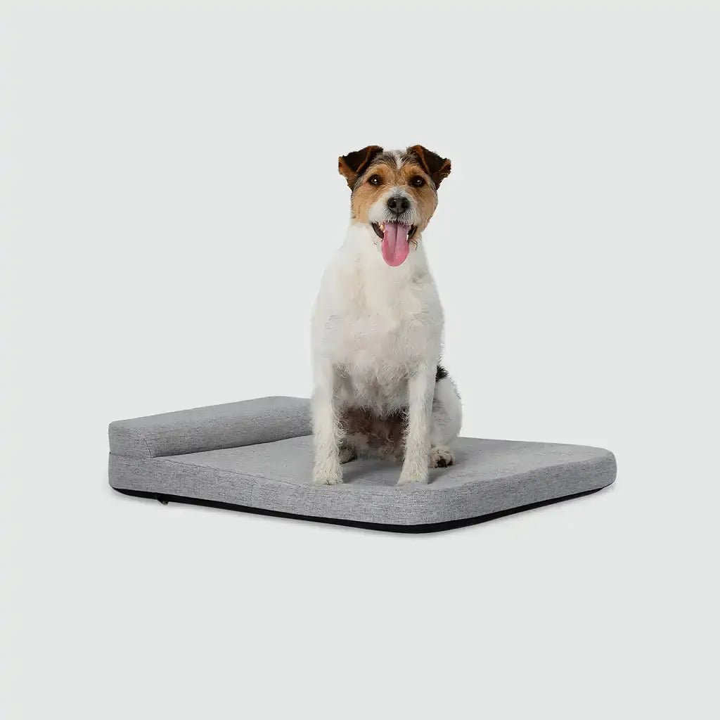Bolstr Evolv Bed - Eva Pet - Diggs
