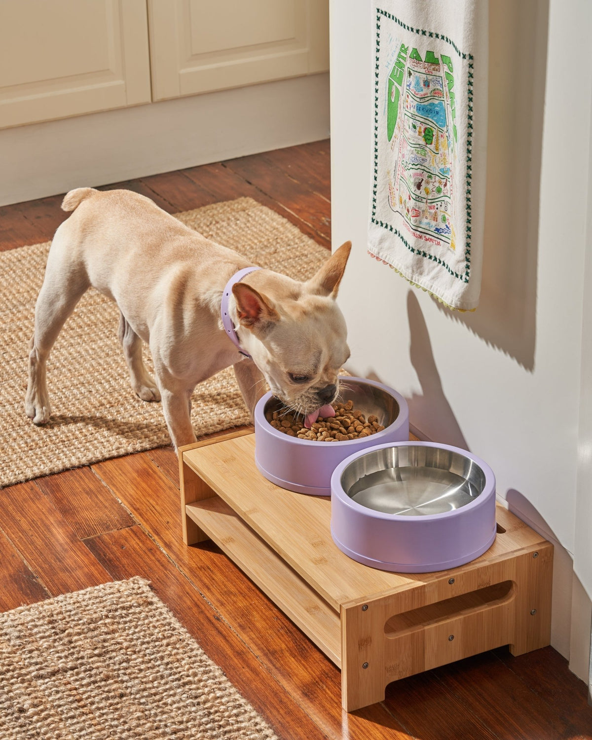 Bowl Kit - Eva Pet - Wild One