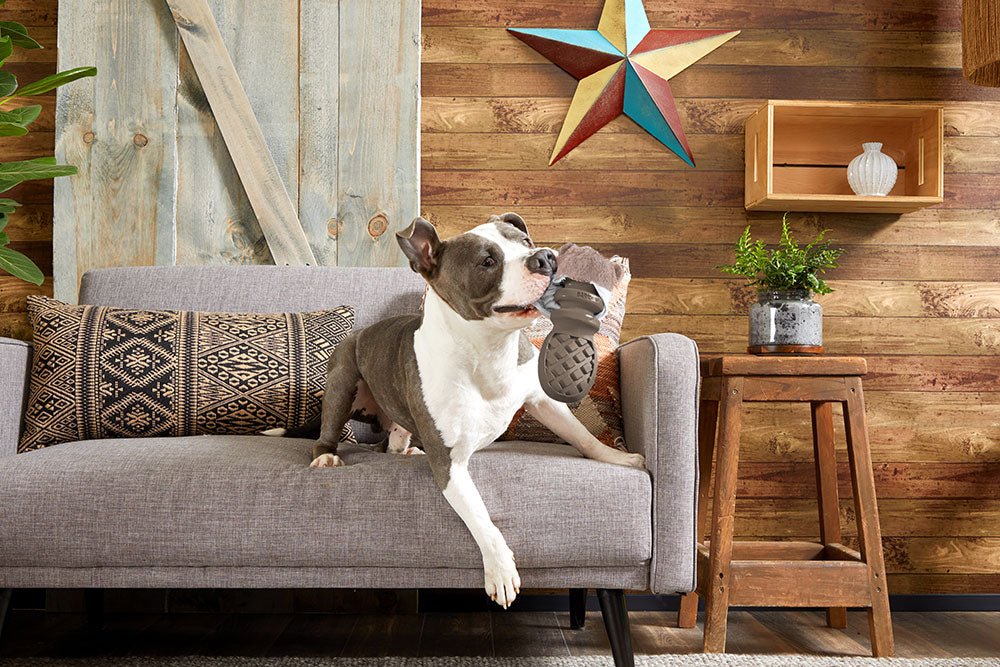 Buck Wild Toy - Eva Pet - BARK