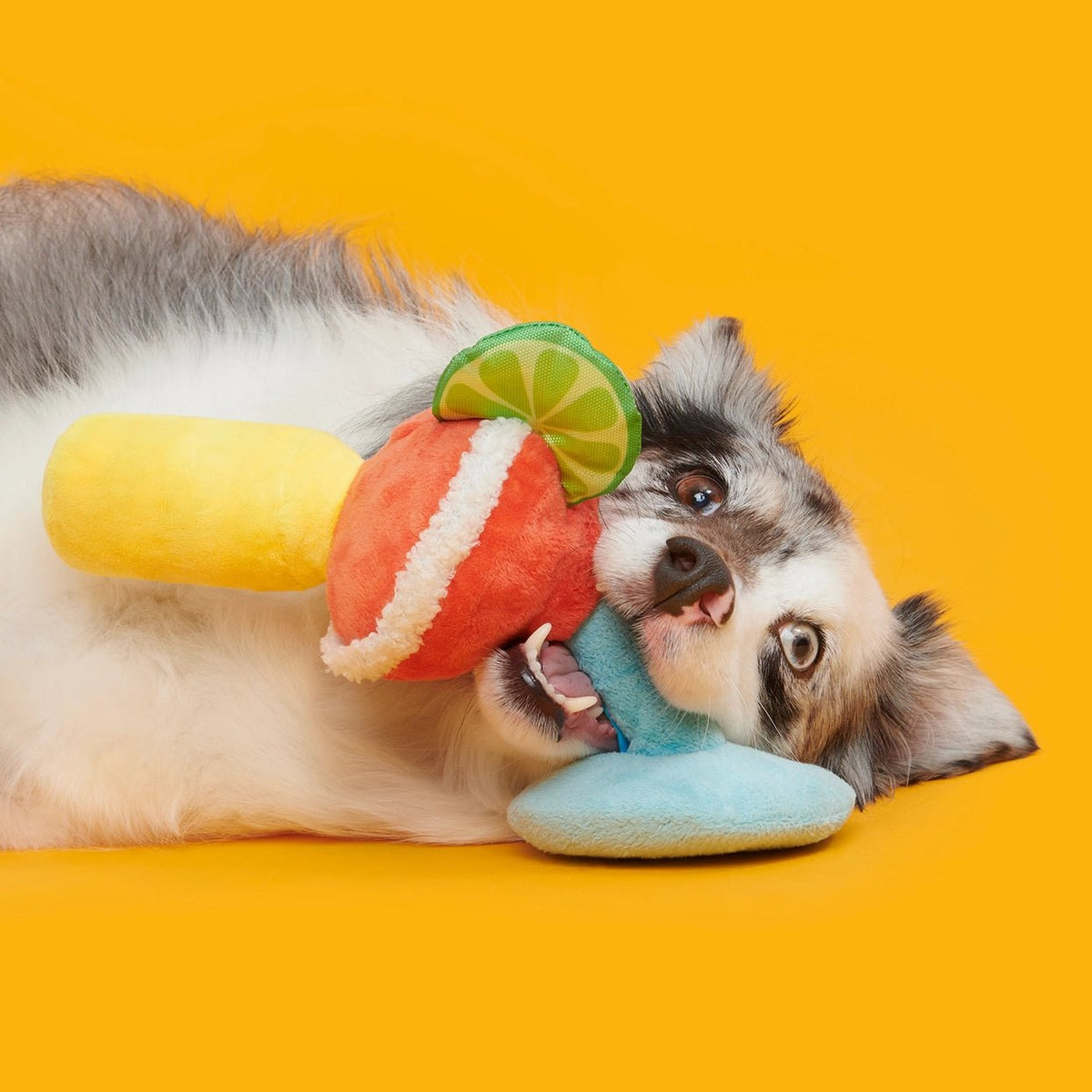 Bulldog Barkarita Plush Dog Toy - Eva Pet - BARK