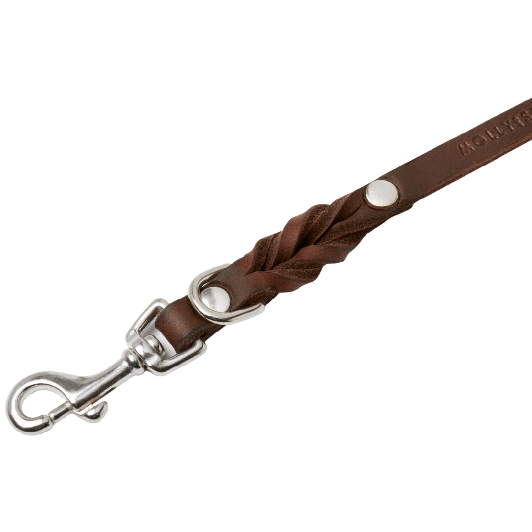Butter Leather City Dog Leash - Classic Brown - Eva Pet - mollyandstitchus