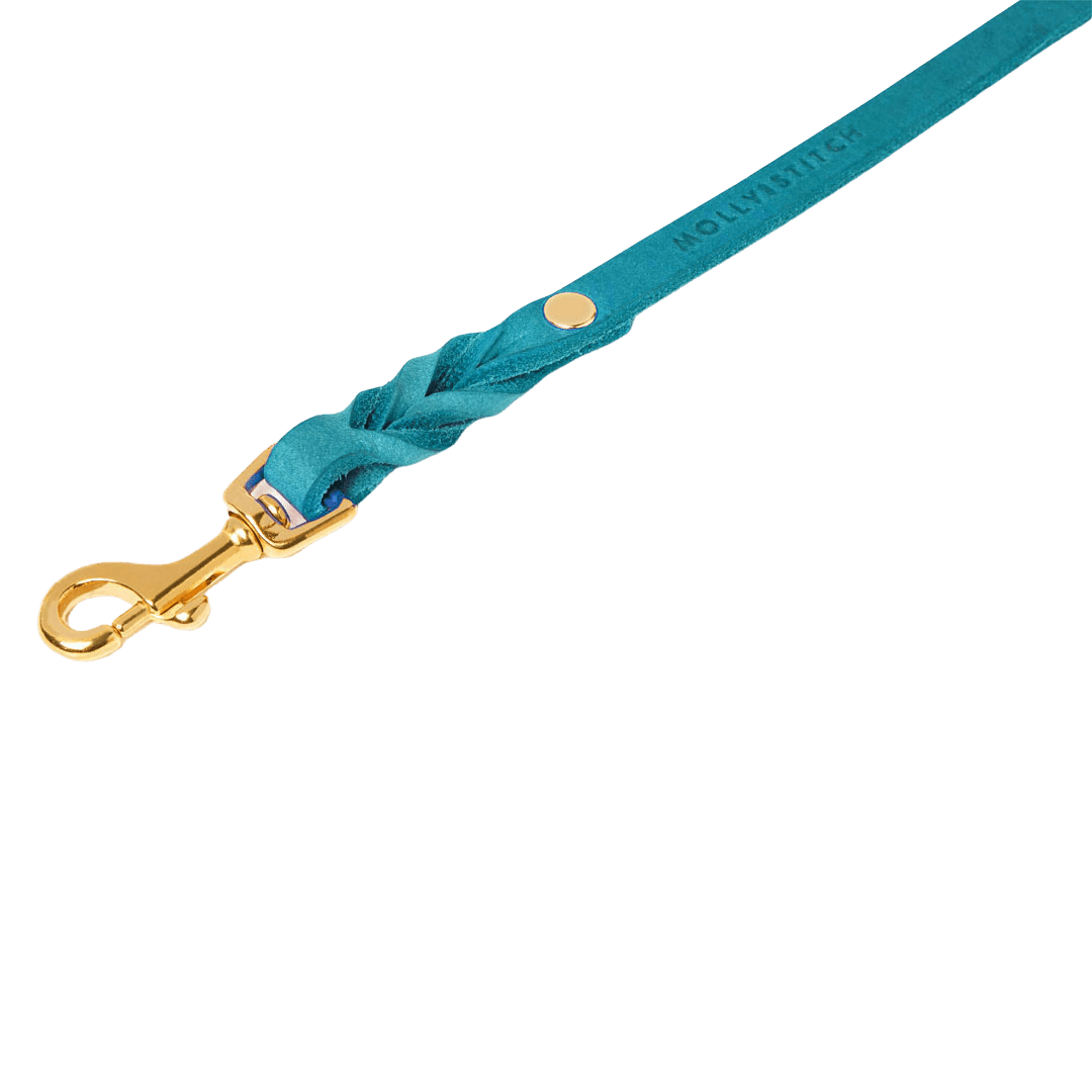 Butter Leather City Dog Leash - Fiji - Eva Pet - mollyandstitchus