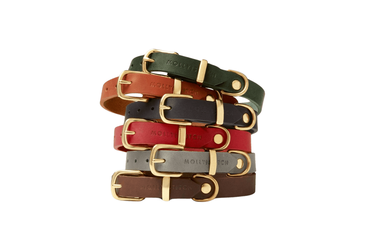 Butter Leather Dog Collar - Chili Red - Eva Pet - mollyandstitchus