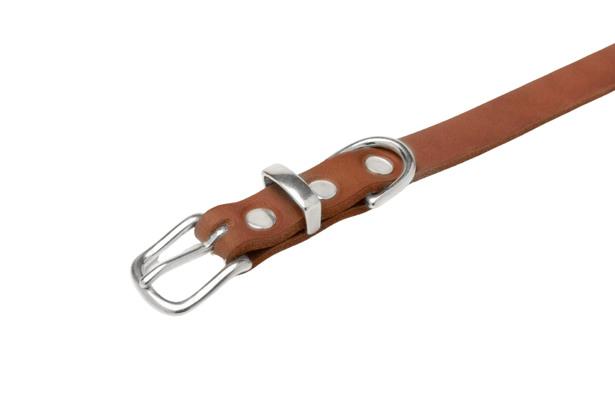 Butter Leather Dog Collar - Sahara Cognac - Eva Pet - Molly And Stitch