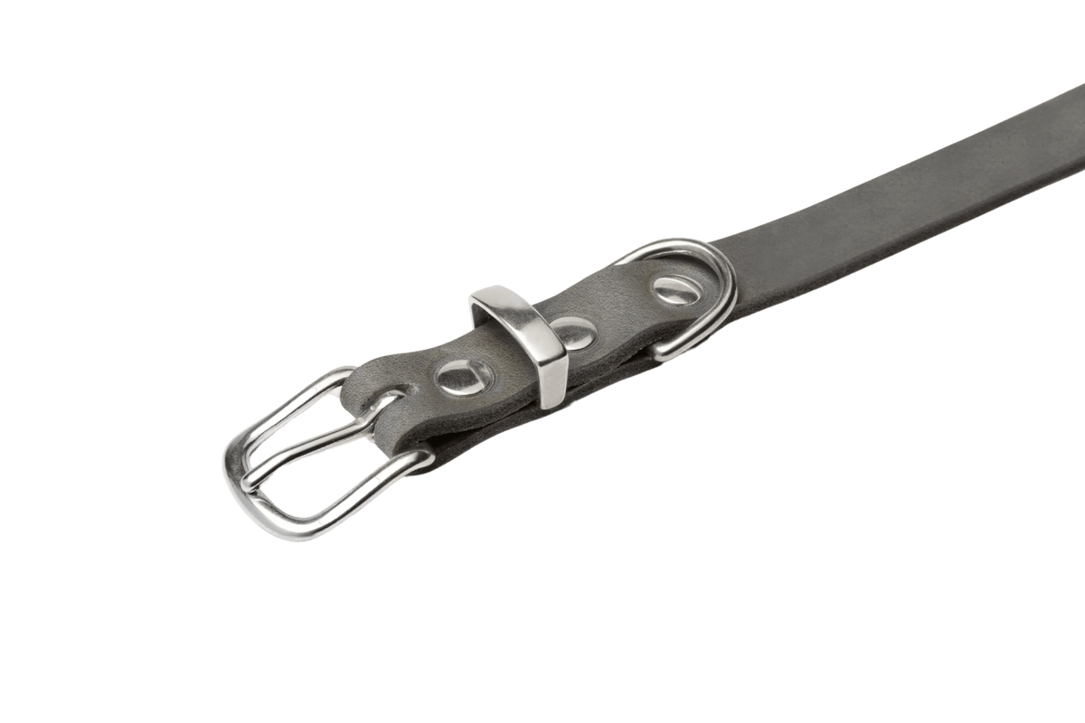 Butter Leather Dog Collar - Timeless Grey - Eva Pet - mollyandstitchus