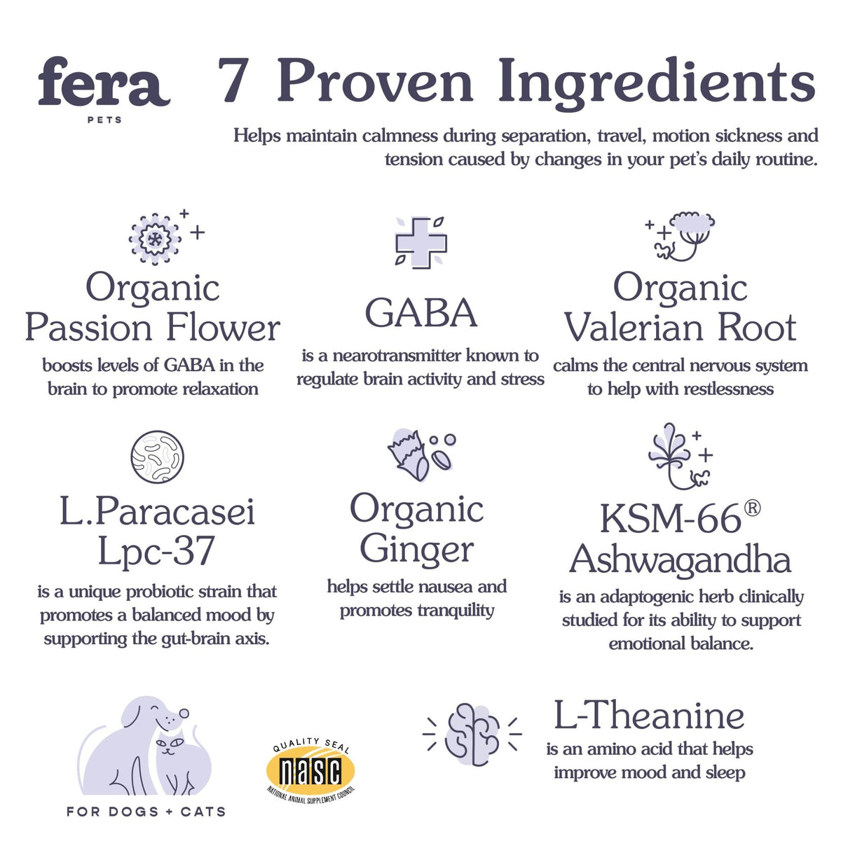 Calming Support for Dogs and Cats - Eva Pet - Fera Pet Organics