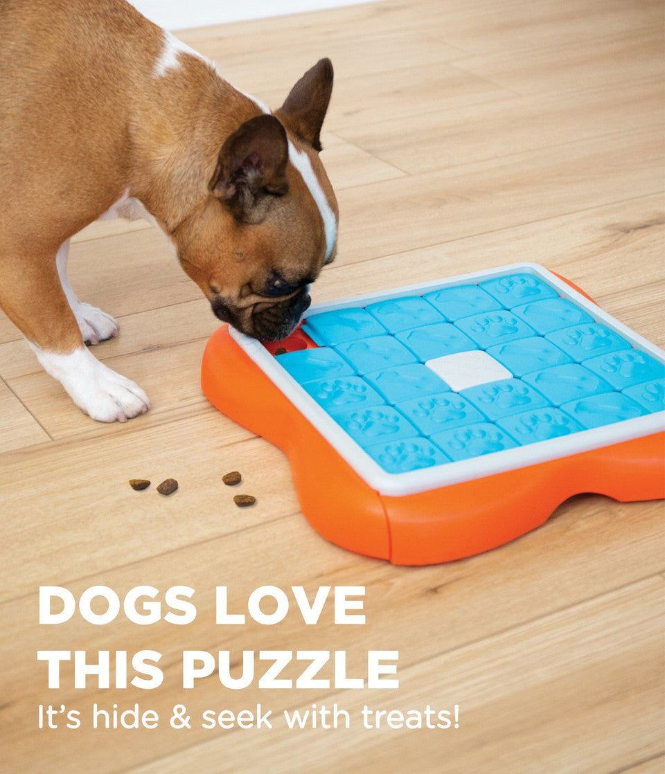 Challenge Slider Interactive Treat Puzzle Dog Toy, Multi - Eva Pet - Outward Hound