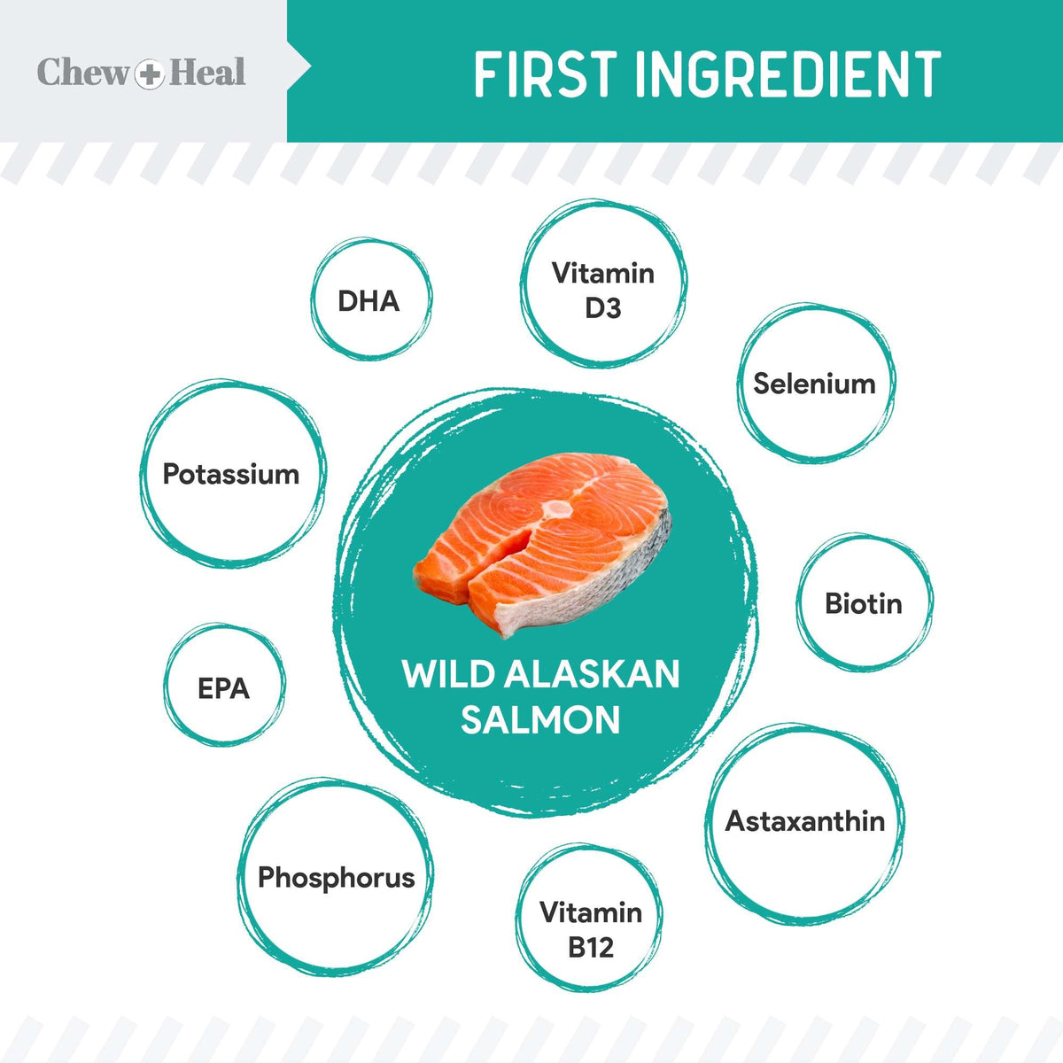 Chew + Heal Wild Alaskan Probiotics Digestive Aid Salmon Soft Jerky Dog Treats - Eva Pet - Chew + Heal