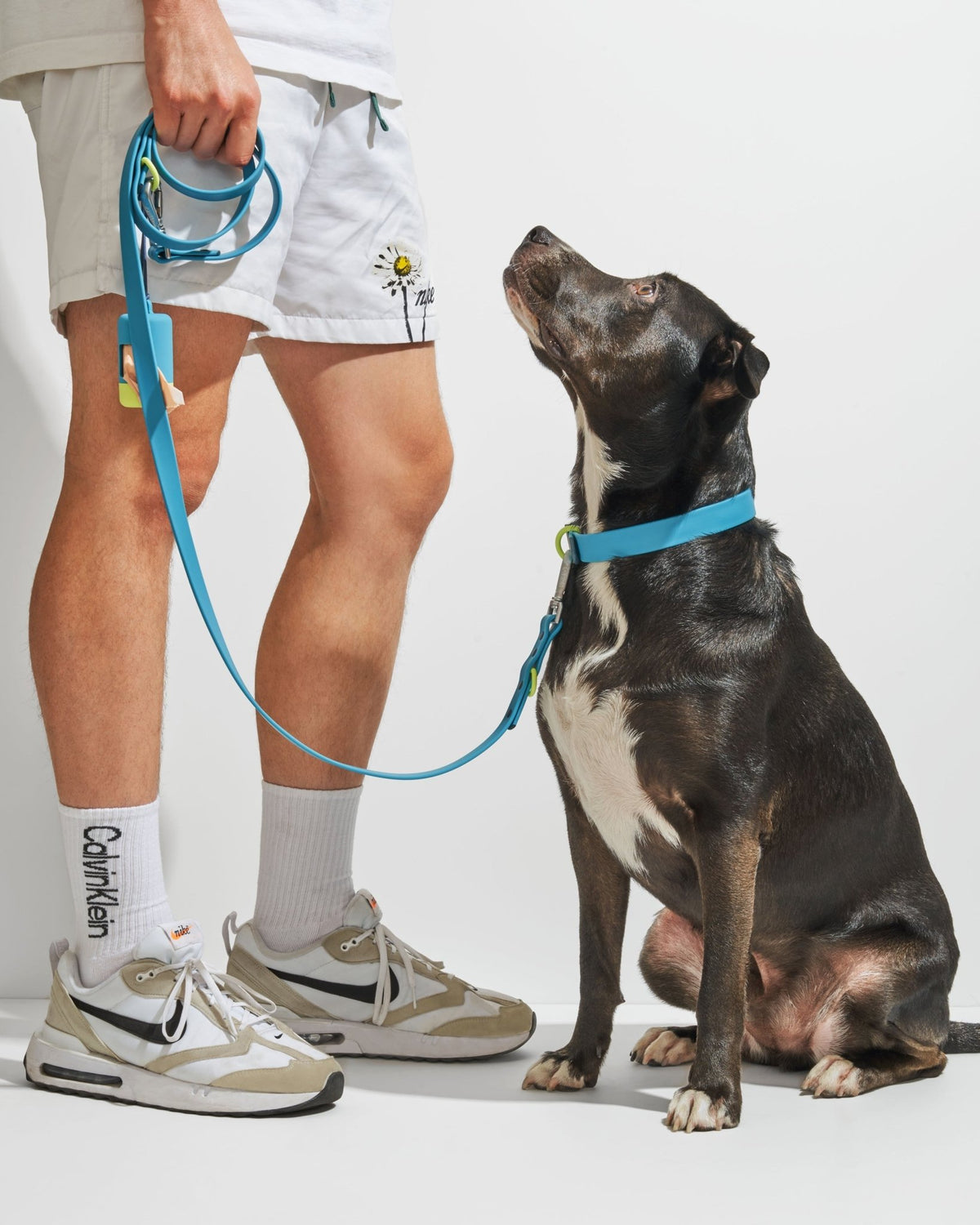 Collar - Eva Pet - Wild One