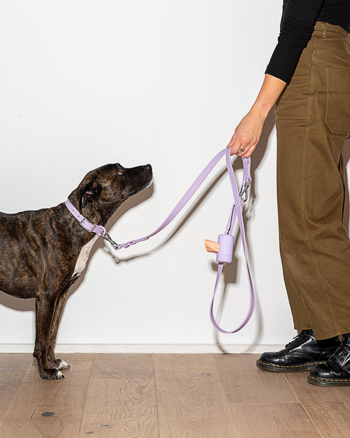 Collar - Eva Pet - Wild One