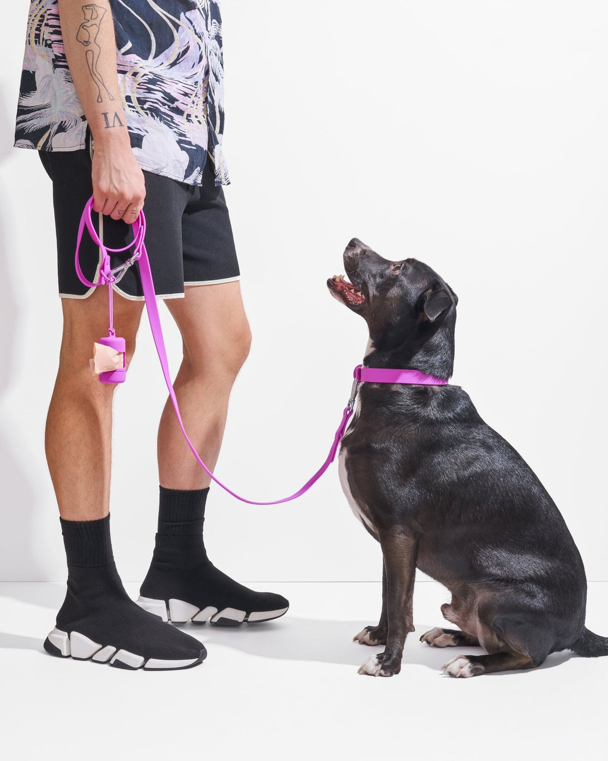 Collar - Eva Pet - Wild One