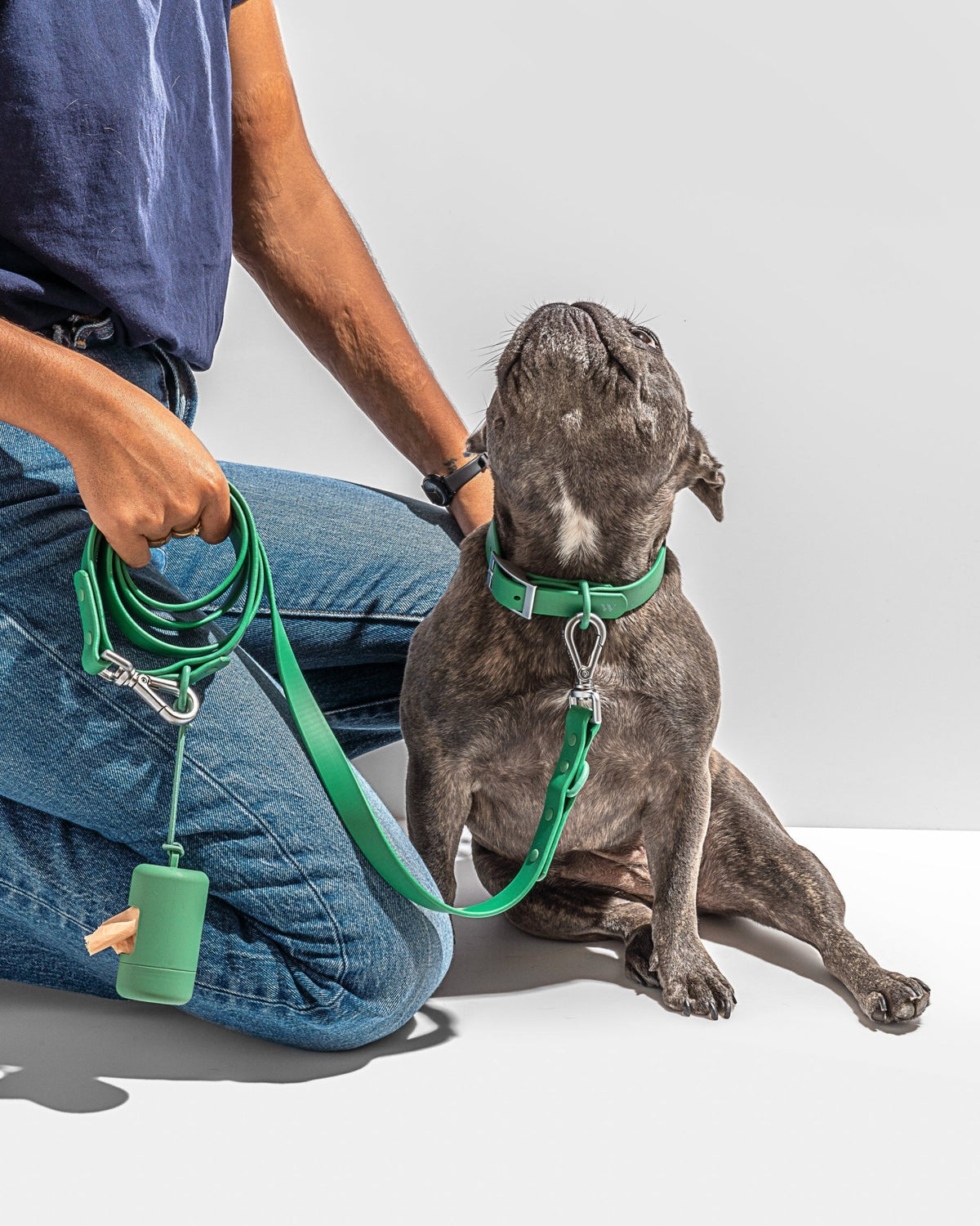 Collar - Eva Pet - Wild One