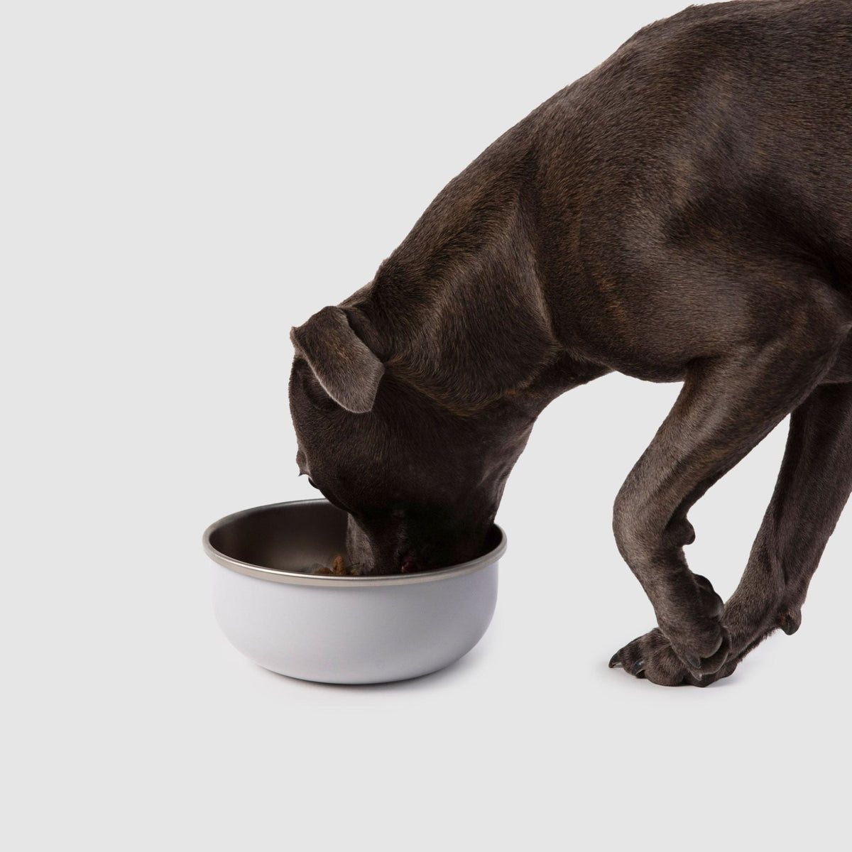 Crate Bowl - Eva Pet - Diggs