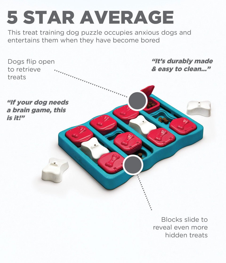 Dog Brick Interactive Treat Puzzle Dog Toy, Blue - Eva Pet - Outward Hound