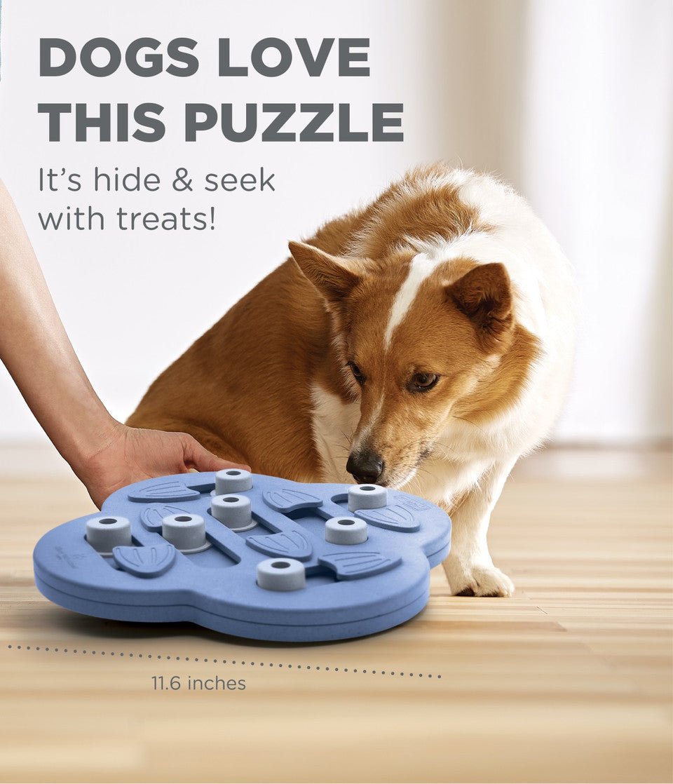Dog Hide N' Slide Interactive Treat Puzzle Dog Toy, Purple - Eva Pet - Outward Hound