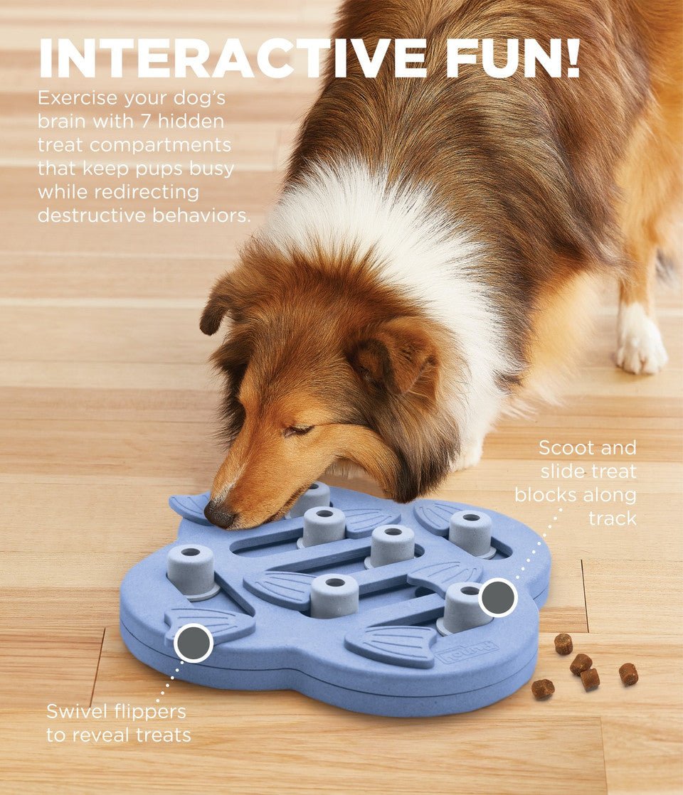 Dog Hide N' Slide Interactive Treat Puzzle Dog Toy, Purple - Eva Pet - Outward Hound