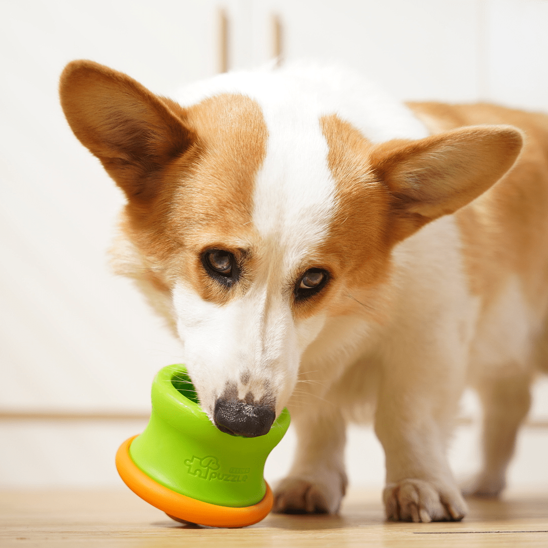 Dog Puzzle Tumbler M - Puzzle Feeder Enrichment Toy (for S/M Breeds) - Eva Pet - Puzzle Feeder™