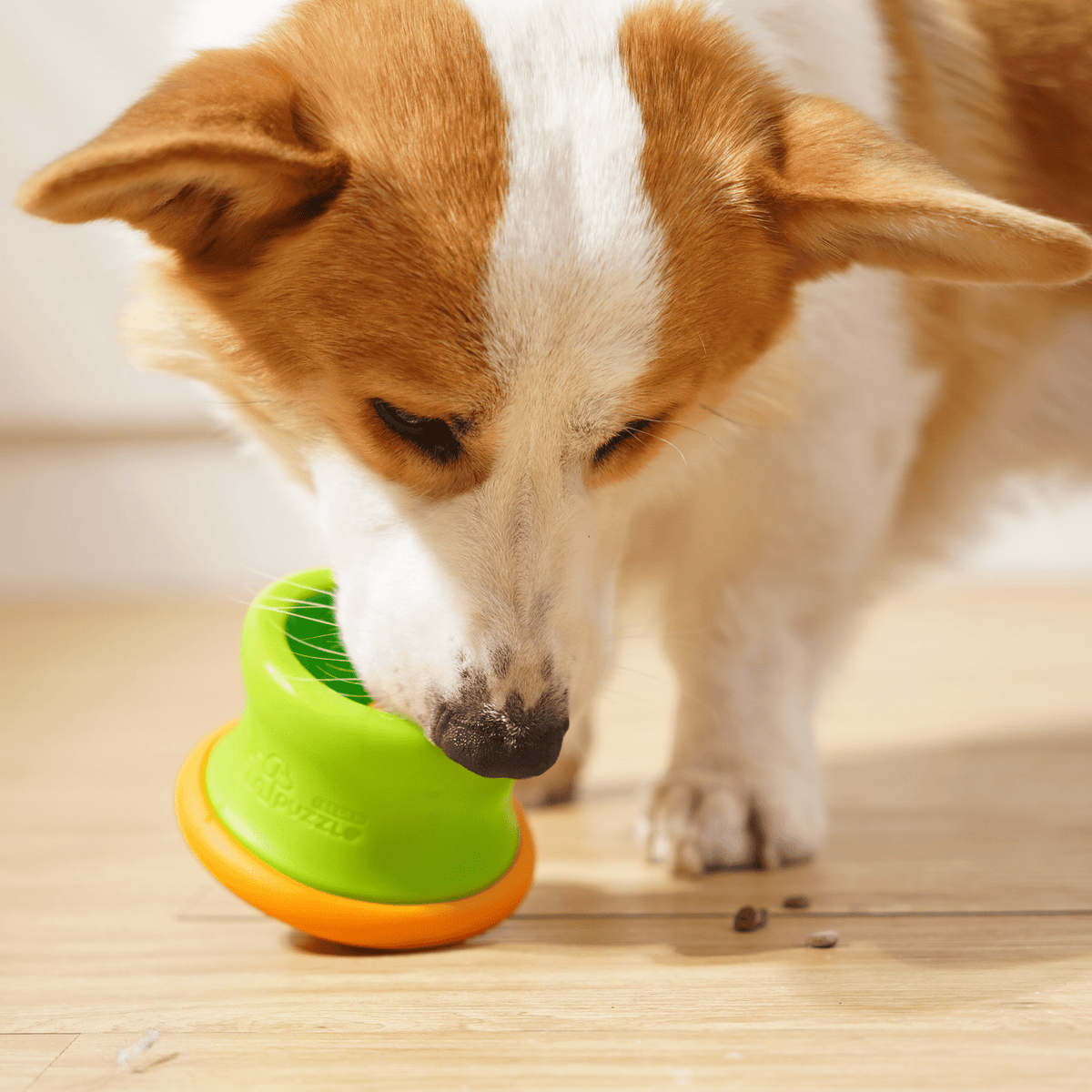 Dog Puzzle Tumbler M - Puzzle Feeder Enrichment Toy (for S/M Breeds) - Eva Pet - Puzzle Feeder™