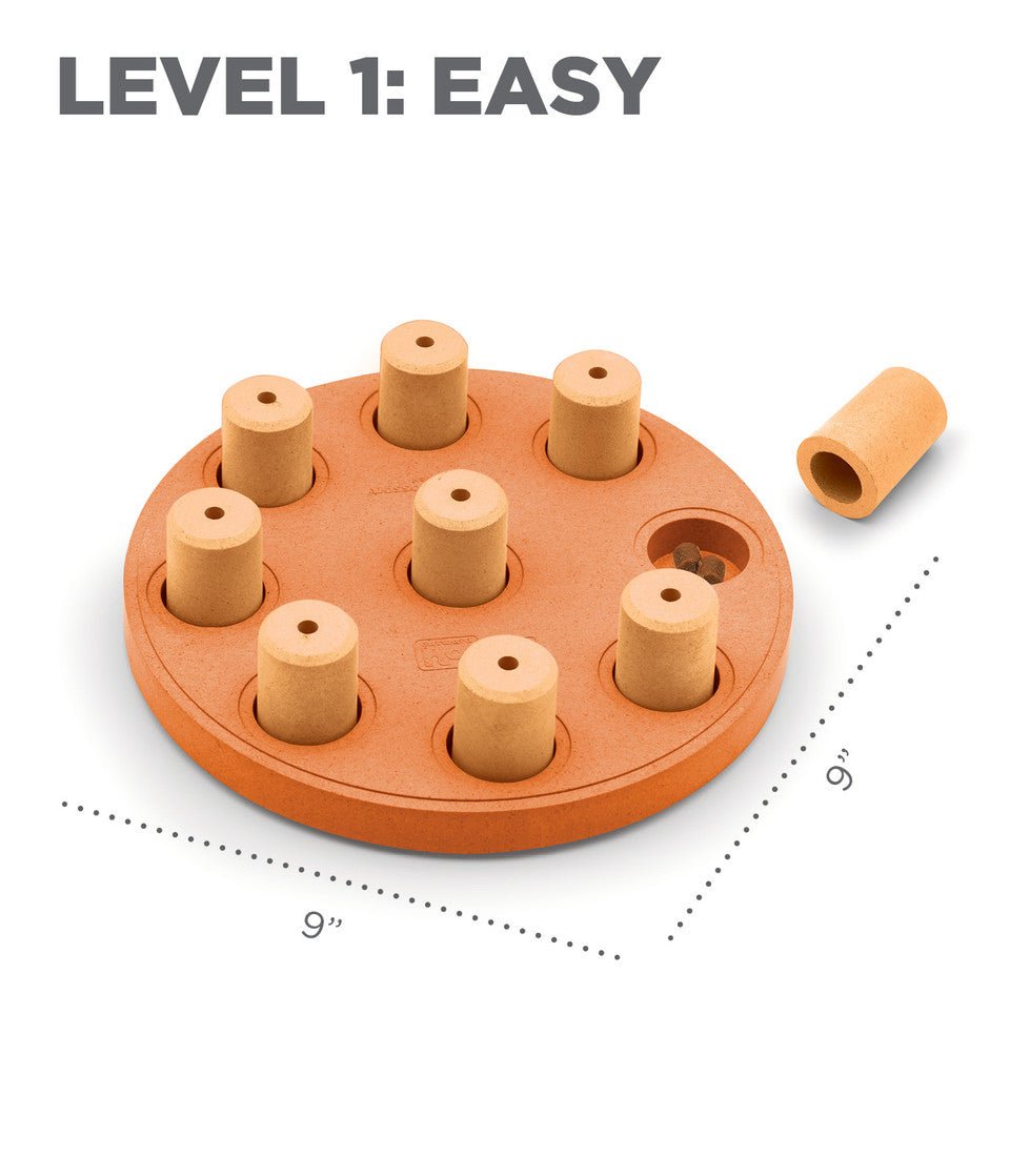 Dog Smart Composite Interactive Treat Puzzle Dog Toy, Orange - Eva Pet - Outward Hound