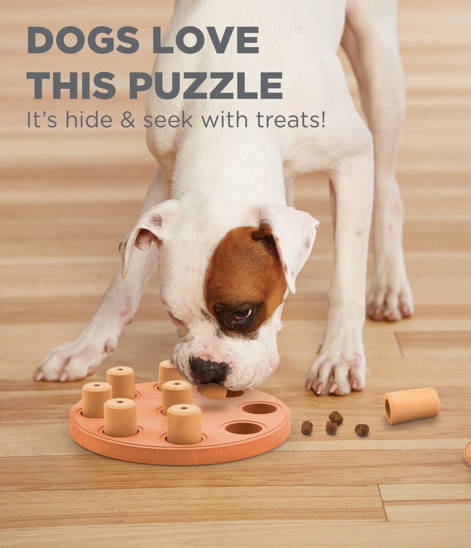 Dog Smart Composite Interactive Treat Puzzle Dog Toy, Orange - Eva Pet - Outward Hound