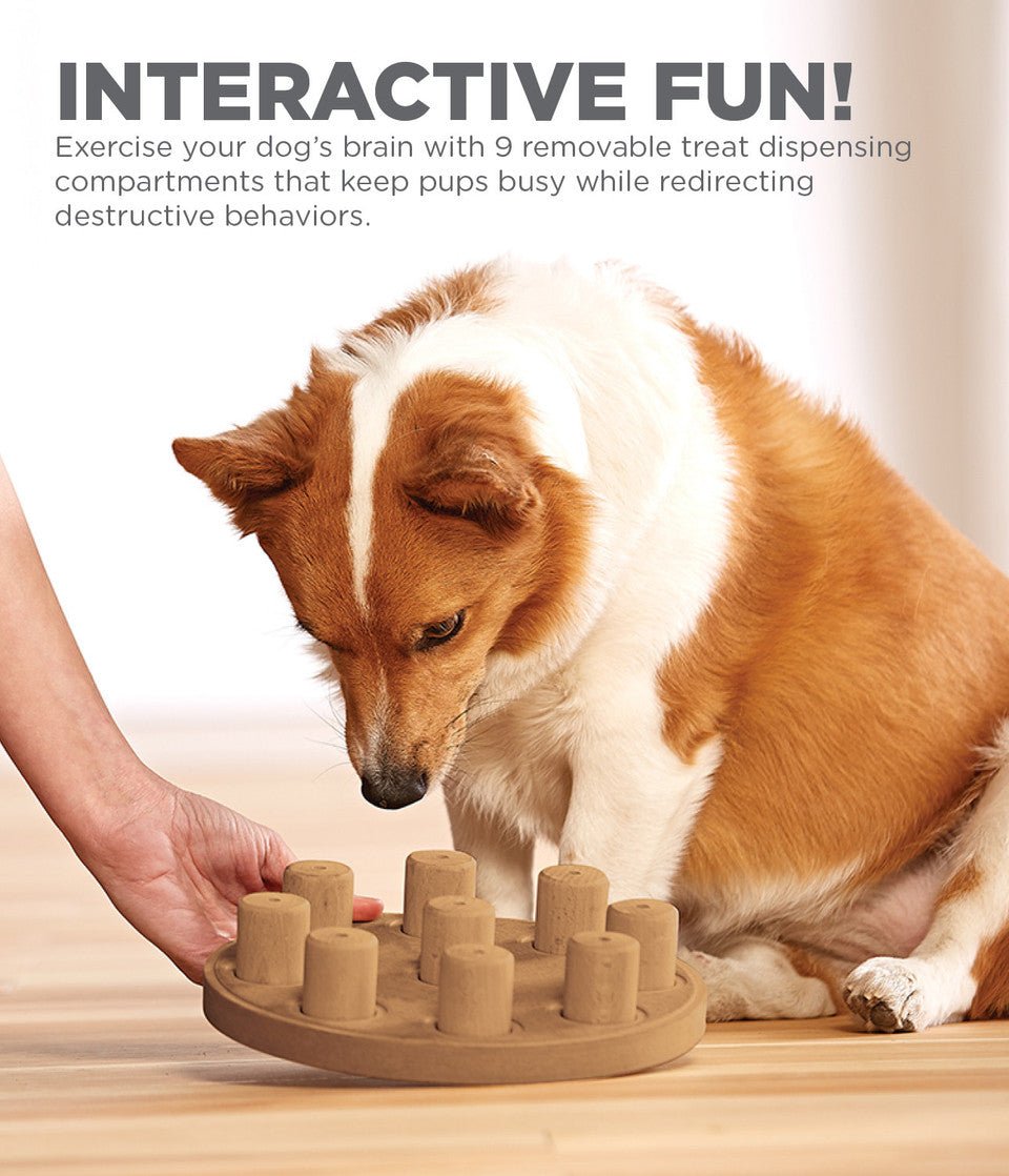 Dog Smart Composite Interactive Treat Puzzle Dog Toy, Tan - Eva Pet - Outward Hound