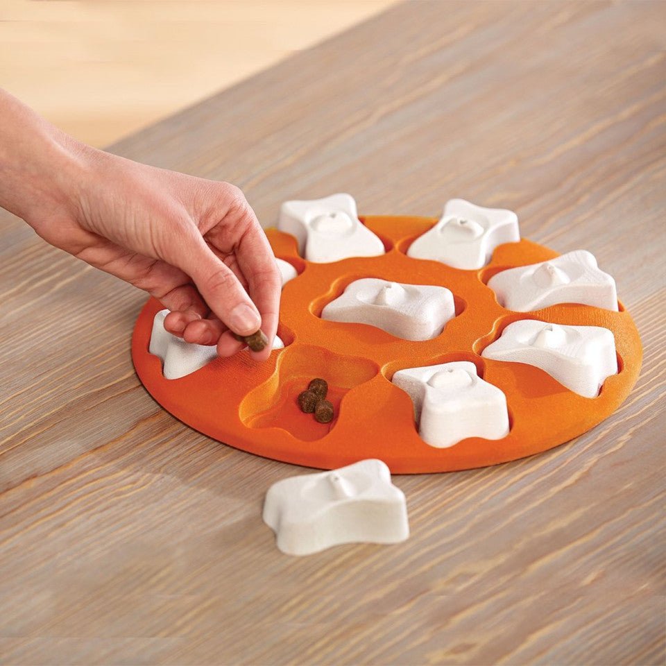 Dog Smart Interactive Treat Puzzle Dog Toy, Orange - Eva Pet - Outward Hound