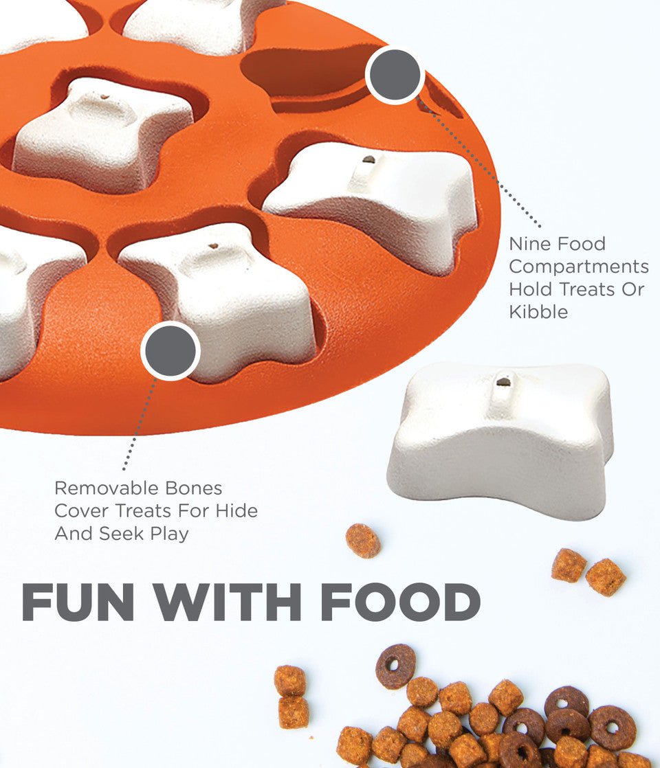 Dog Smart Interactive Treat Puzzle Dog Toy, Orange - Eva Pet - Outward Hound
