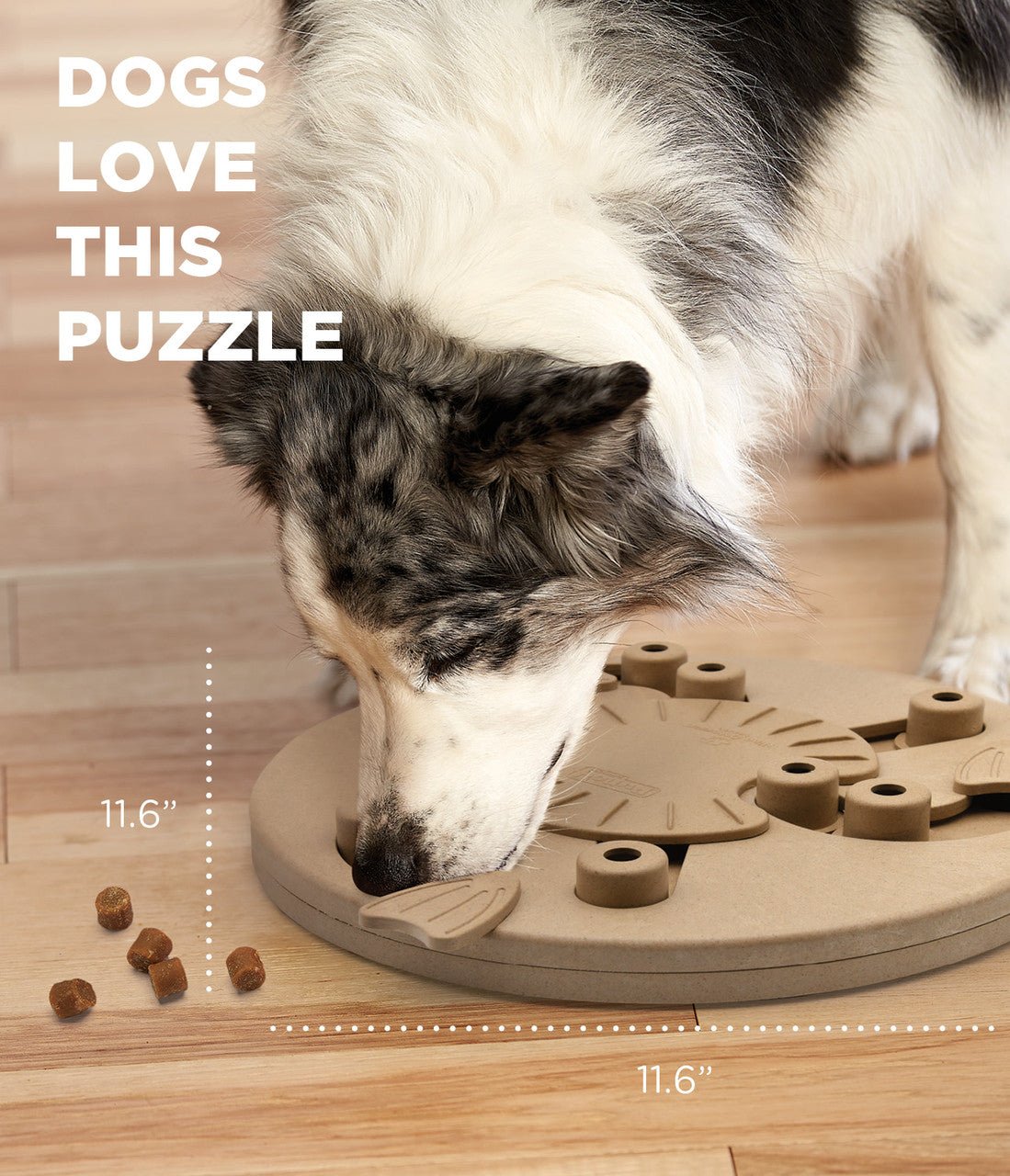 Dog Worker Interactive Treat Puzzle Dog Toy, Tan - Eva Pet - Outward Hound