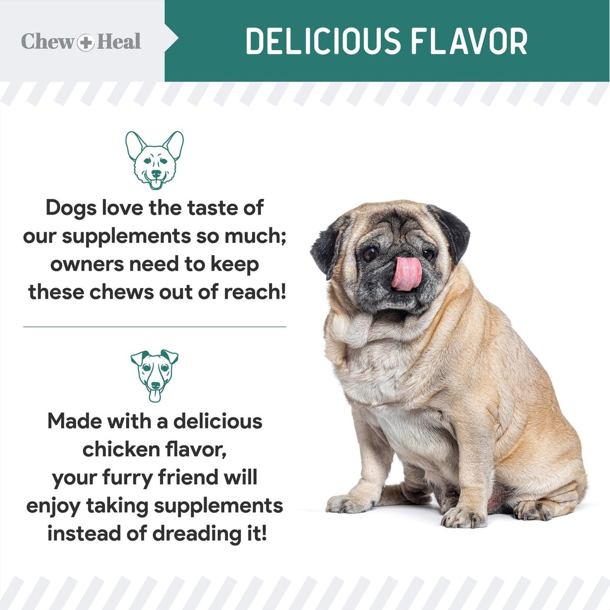 Essential 12 - in - 1 Multivitamin Soft Chews For Dogs - Eva Pet - Chew + Heal