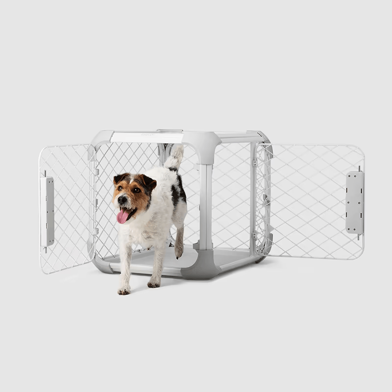 Evolv Dog Crate - Eva Pet - Diggs
