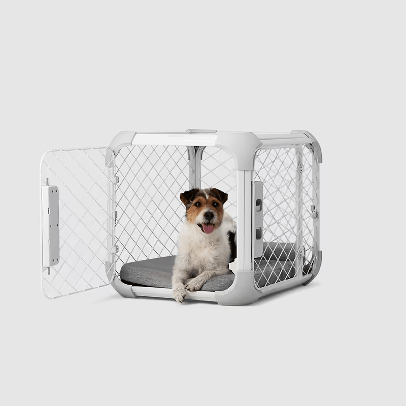Evolv Dog Crate - Eva Pet - Diggs