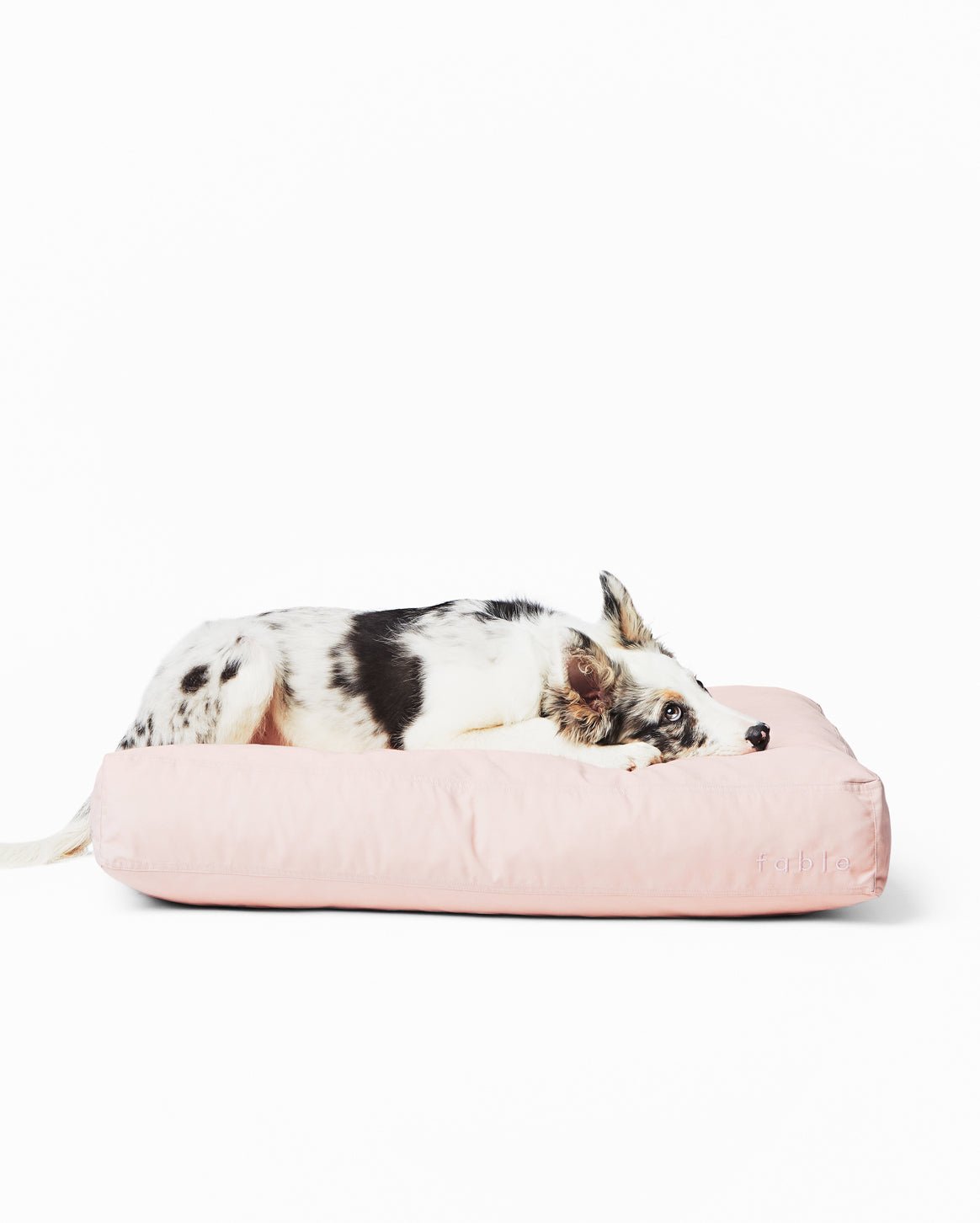 Fable Bed - Eva Pet - Fable Pets