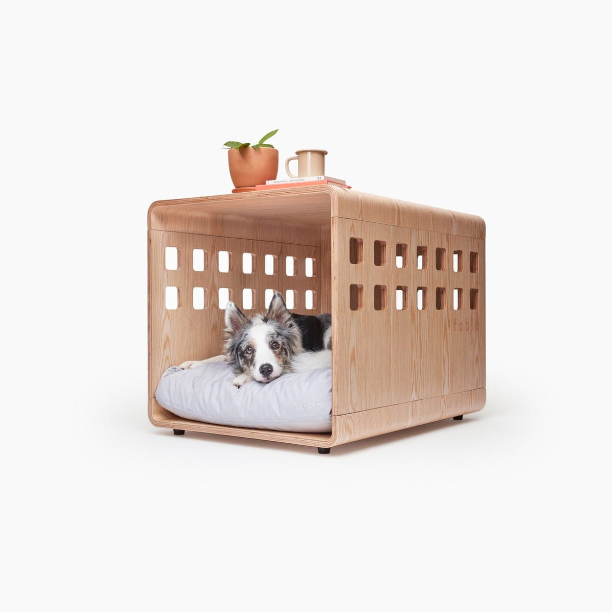 Fable Crate - Eva Pet - Fable Pets
