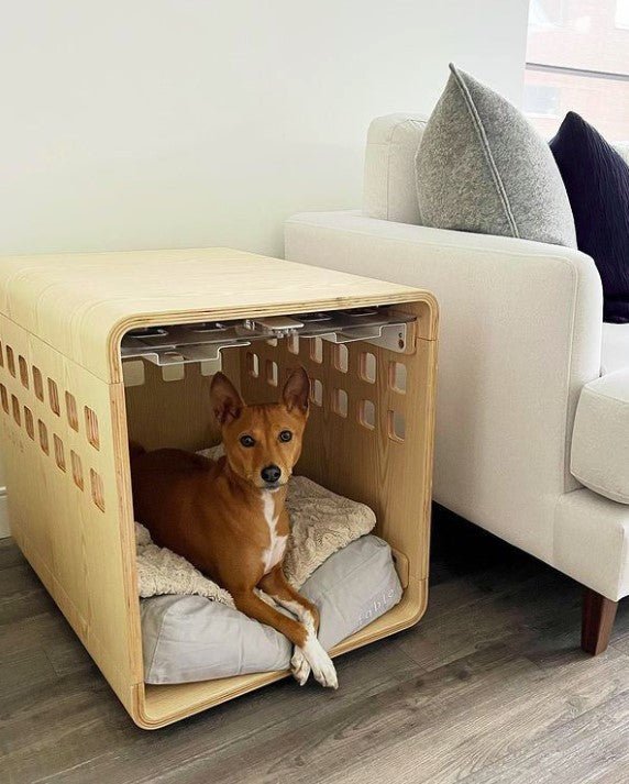 Fable Crate - Eva Pet - Fable Pets