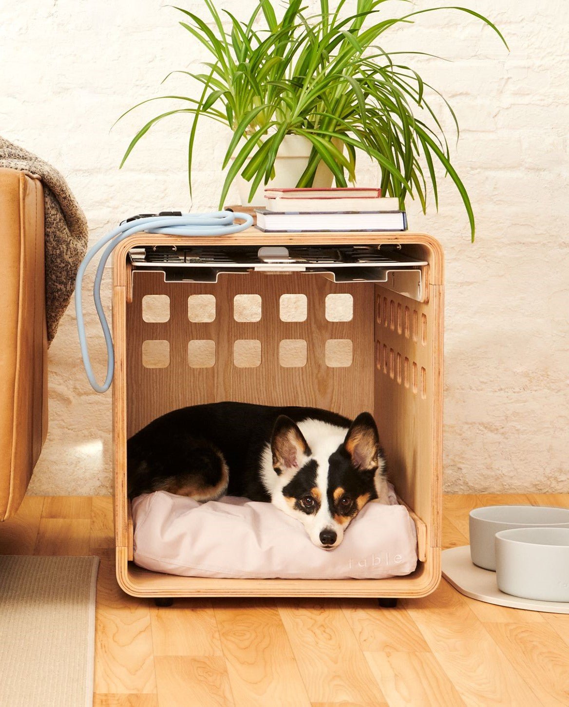 Fable Crate - Eva Pet - Fable Pets