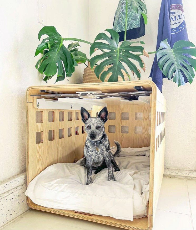 Fable Crate - Eva Pet - Fable Pets