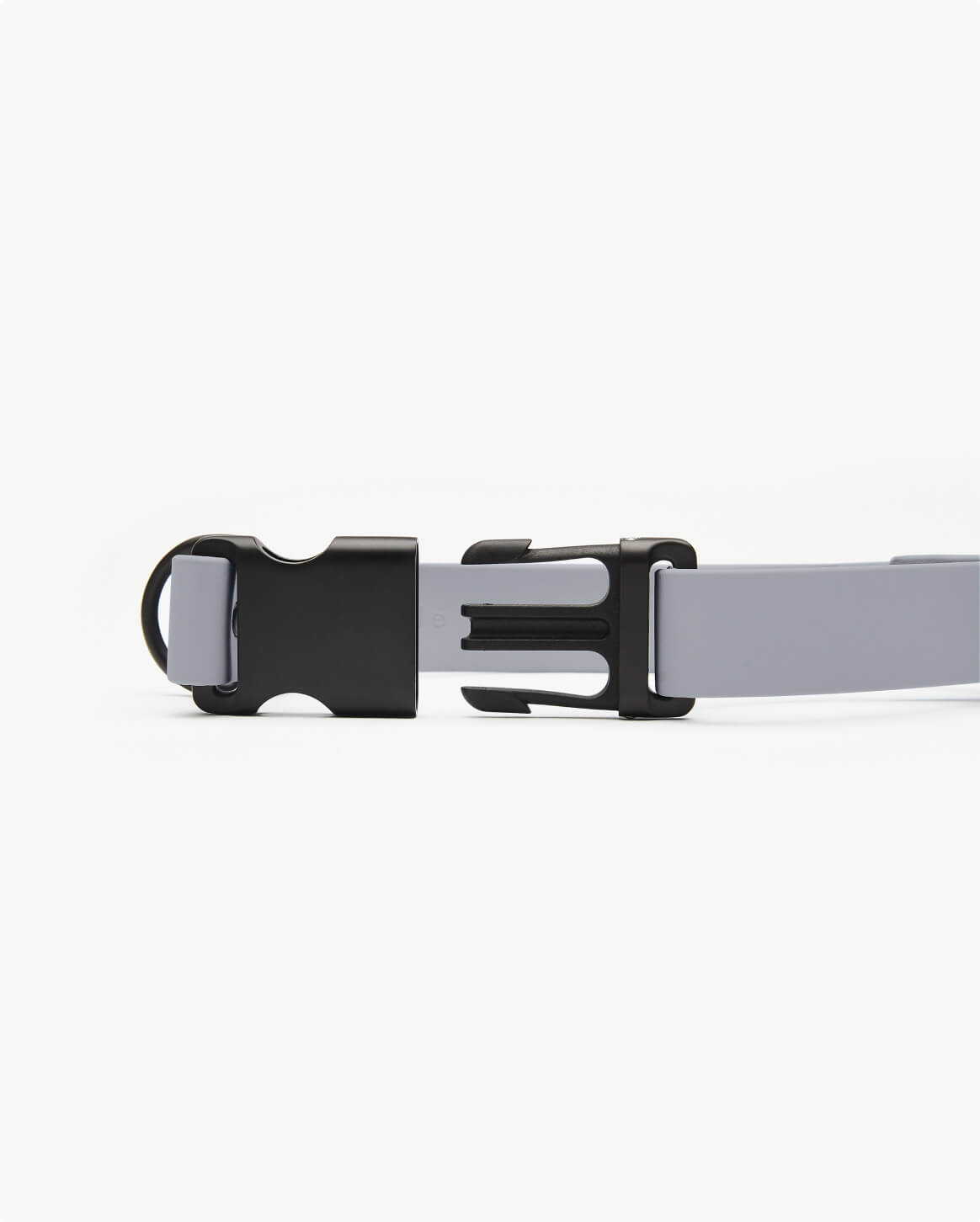 Fable Signature Collar - Eva Pet - Fable Pets