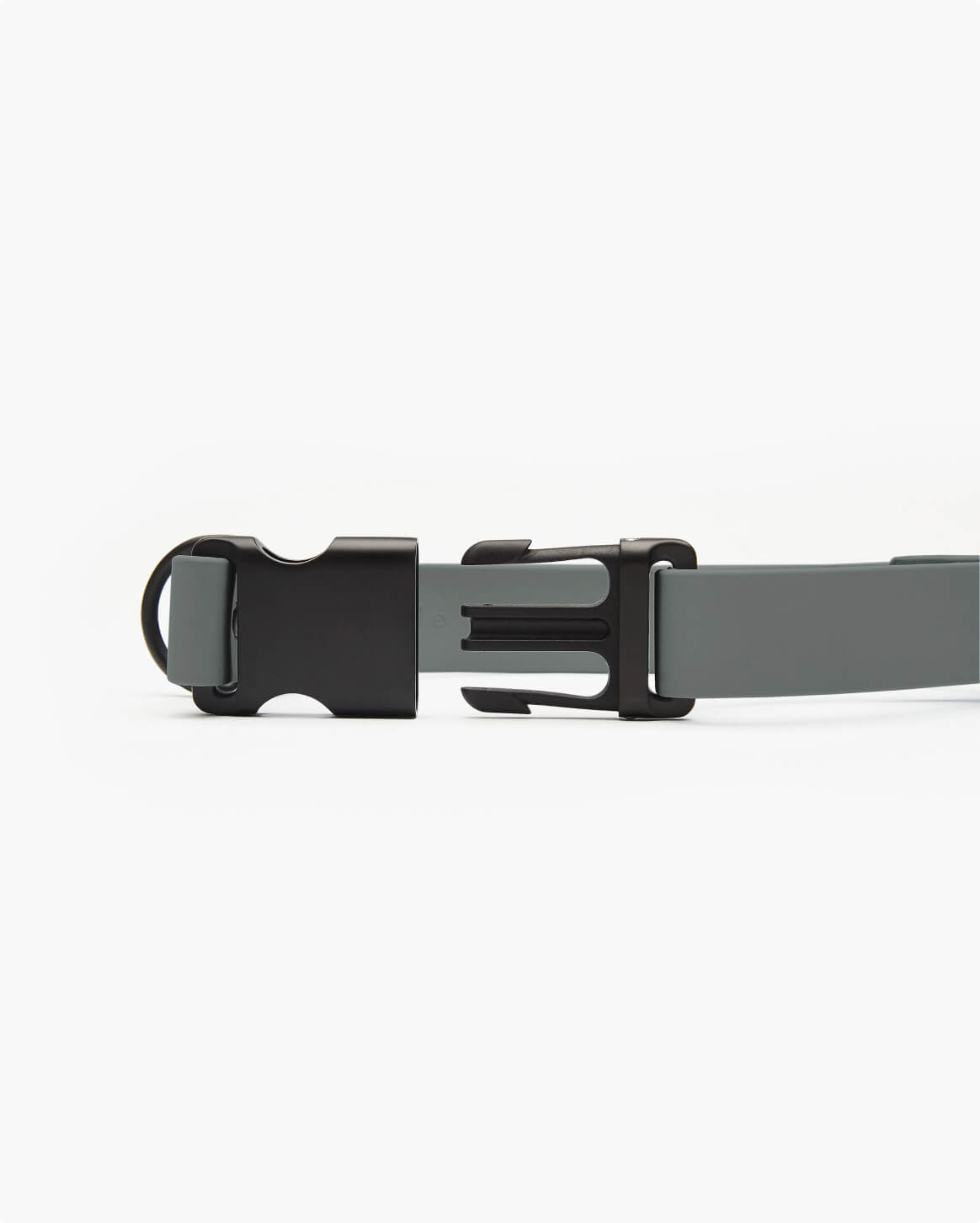 Fable Signature Collar - Eva Pet - Fable Pets