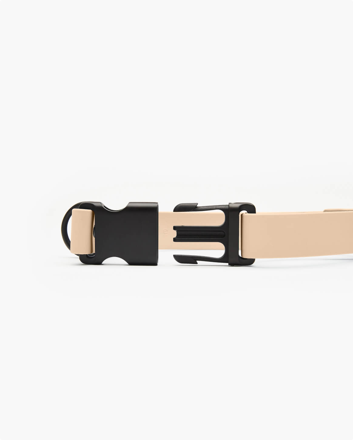 Fable Signature Collar - Eva Pet - Fable Pets