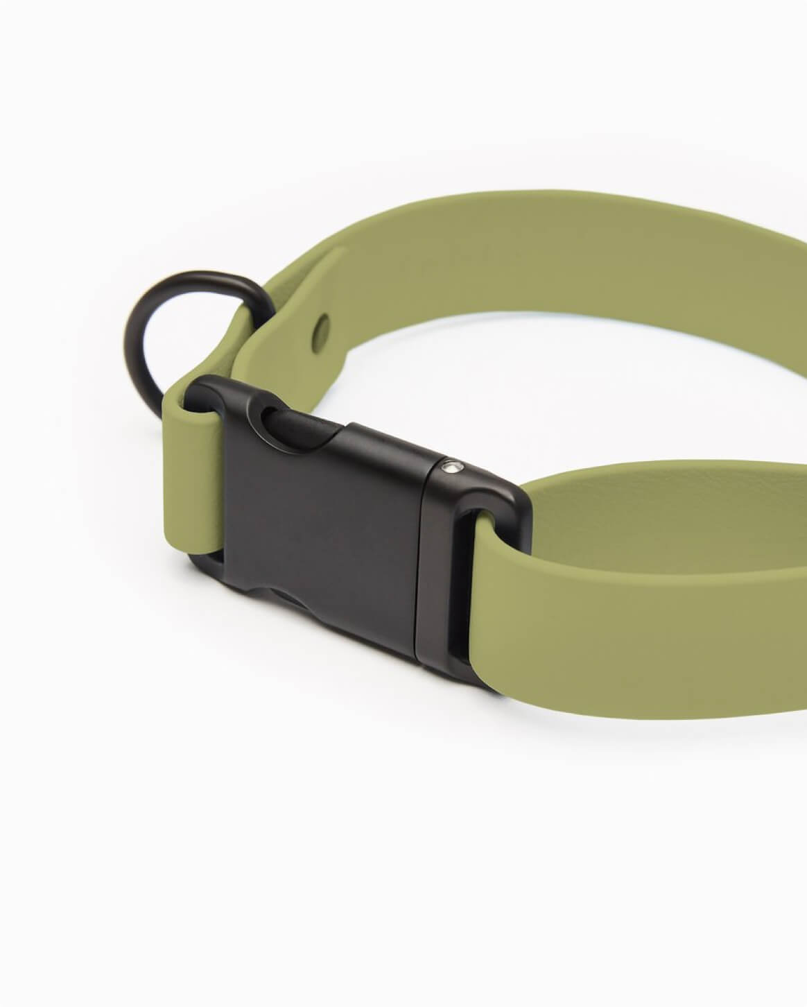Fable Signature Collar - Eva Pet - Fable Pets
