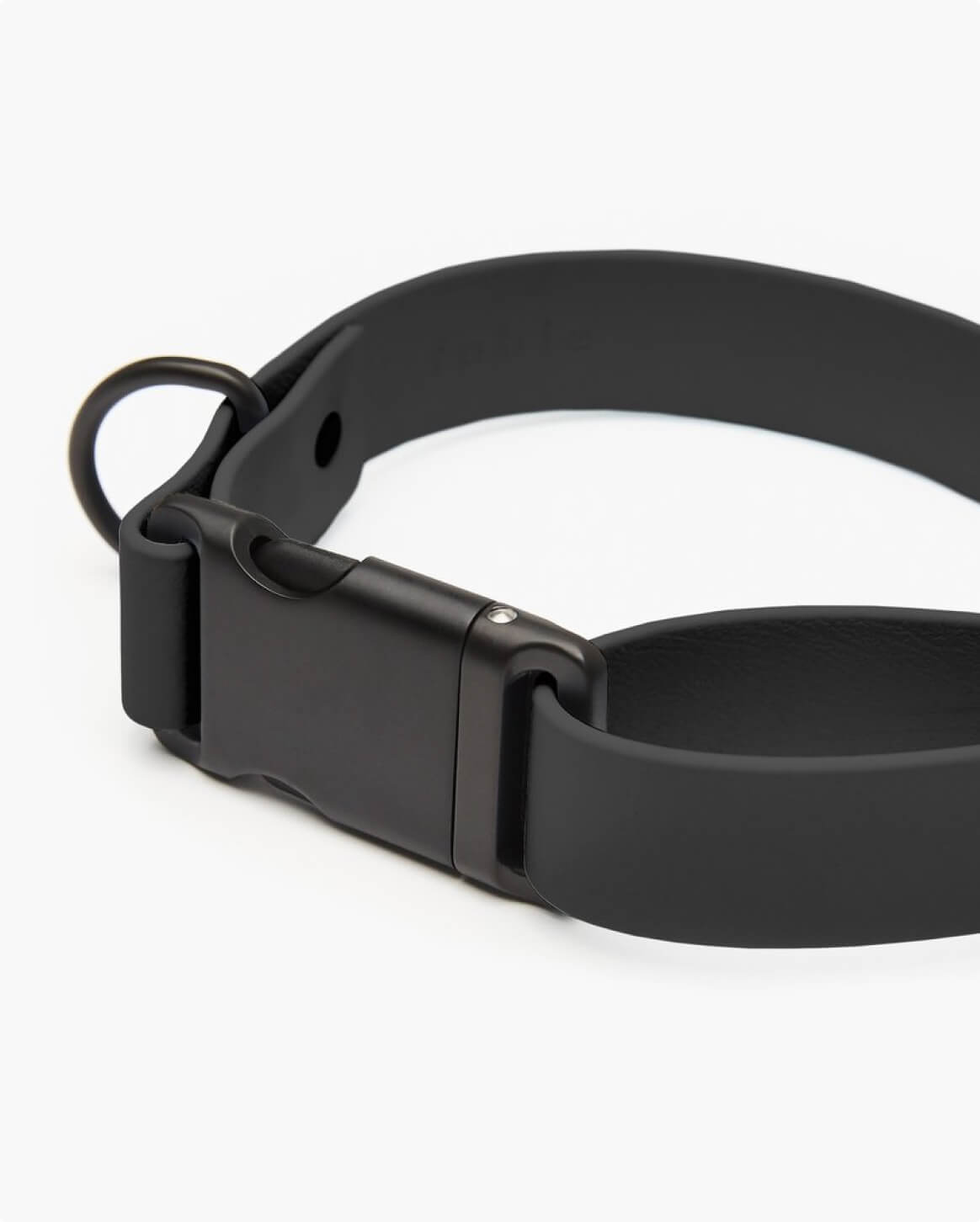 Fable Signature Collar - Eva Pet - Fable Pets